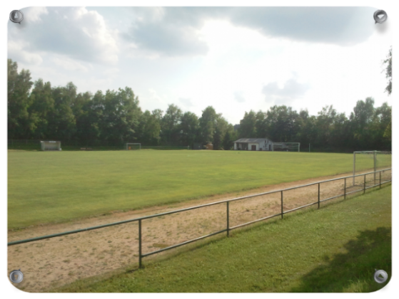 Glück-Auf-Stadion - Rasen